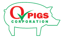 Filippijnse Q-pigs nieuwe franchiser Topigs Norsvin
