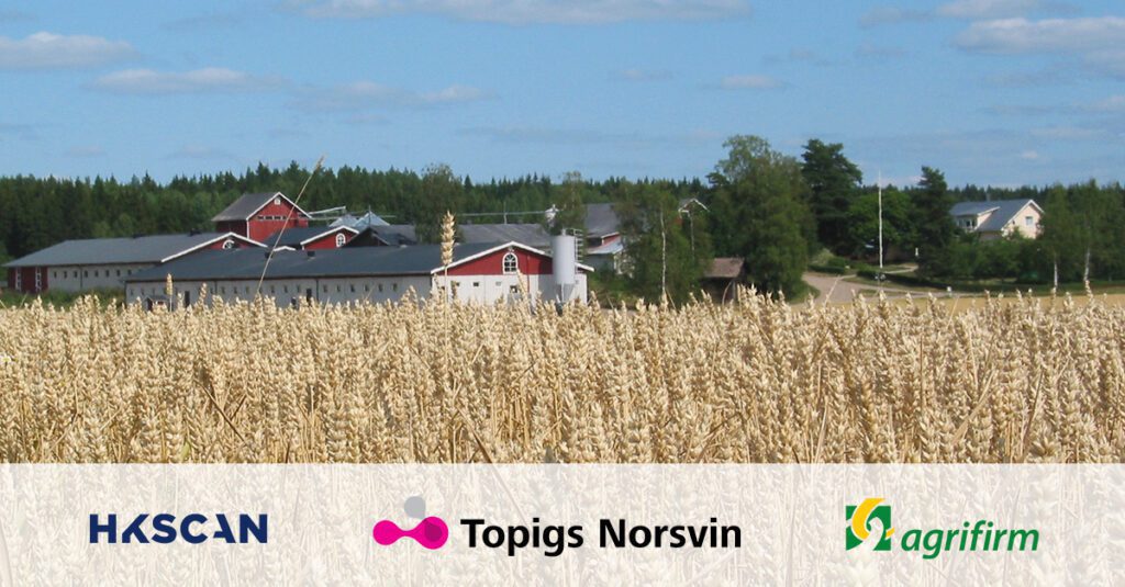 HKScan, Topigs Norsvin en Royal Agrifirm Group starten een samenwerking met het Yli-Simola varkensbedrijf in Finland